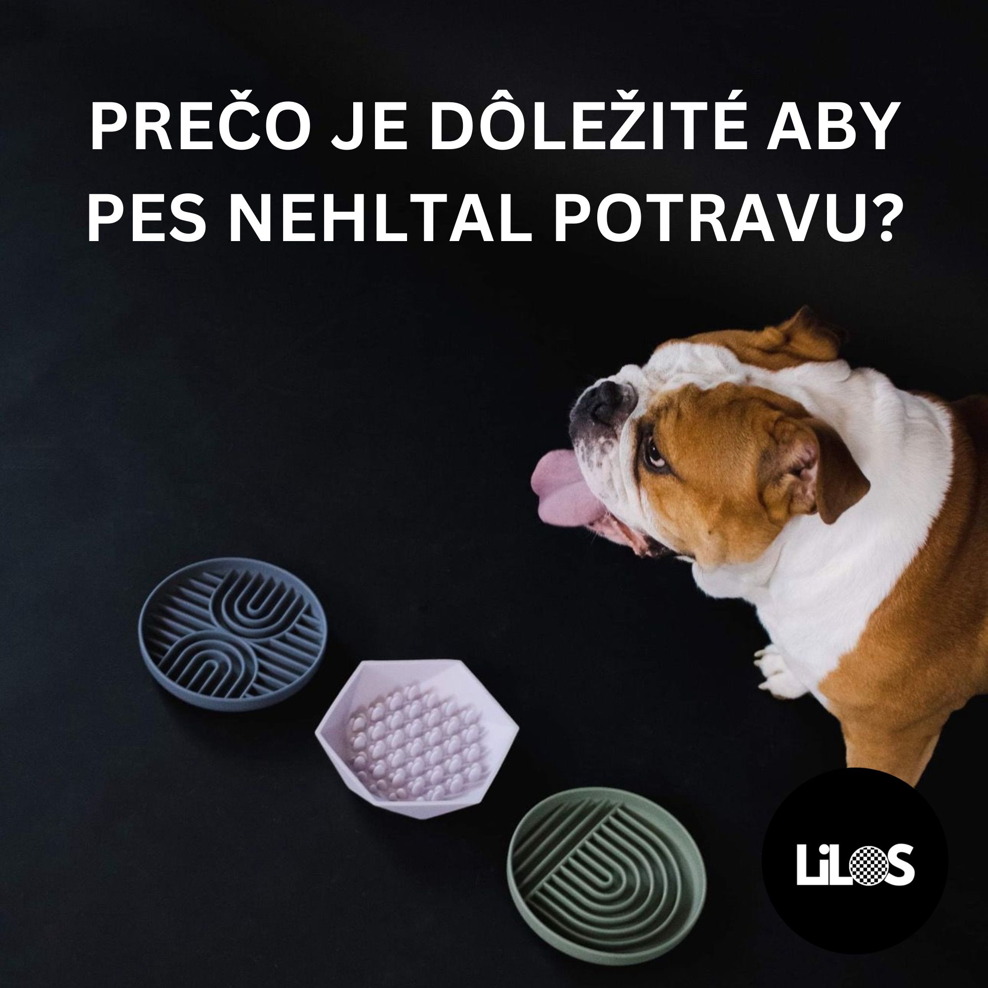 PRECO JE DOLEZITE ABY PES NEHLTAL POTRAVU